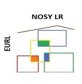 Nosy LR